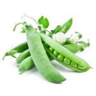 Бобы, Горох, Фасоль, Кукуруза, Подсолнечник