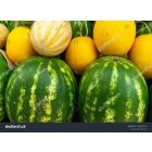 Арбуз и Дыня