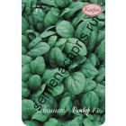 Салат, Рукола, Шпинат