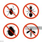 От вредителей