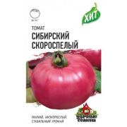 Томат Сибирский скороспелый (Гавриш) МЕТАЛЛ