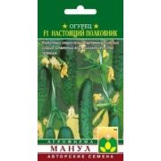 Огурец Буян (Манул)