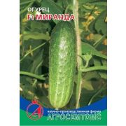 Огурец Миранда (Агросемтомс)