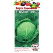 Капуста бк Валентина (Гавриш)