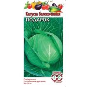 Капуста бк Подарок (Гавриш)
