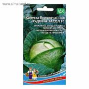 Капуста бк Чудо На Засол (УД)