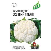 Капуста цветная Осенний гигант 0,1 г ХИТ х3