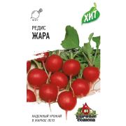 Редис Жара (Гавриш) МЕТАЛЛ