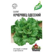 Салат Кучерявец Одесский (Гавриш) МЕТАЛЛ