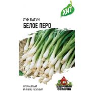 Лук на зелень Белое Перо (Гавриш) МЕТАЛЛ 1/600 