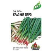 Лук на зелень Красное Перо (Гавриш) МЕТАЛЛ