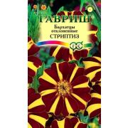 Бархатцы Стриптиз отклоненные (Гавриш) 1/1000