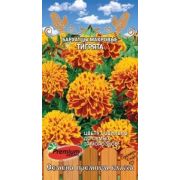 Бархатцы Тигрята отклоненные (Премиум Сидс)