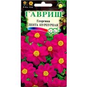 Георгина Лента пурпурная (Гавриш) 1/1000