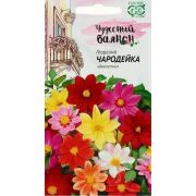 Георгина Чародейка смесь (Гавриш)