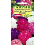 Вербена Очаровательные глазки низкая (Гавриш) 1/800