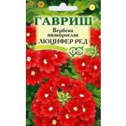 Вербена Люцифер Ред низкая (Гавриш) 1/800