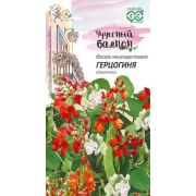 Фасоль многоцветковая (декоративная) Герцогиня
