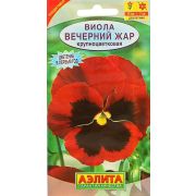 Виола Вечерний Жар (Аэлита)