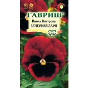 Виола Вечерняя Заря (Гавриш) 1/1000