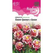 Аквилегия Башня красная с белым, обыкновенная* 0,05 г, серия Розовые сны Н20