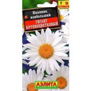 Нивяник Гигант крупноцветковый (Аэлита)