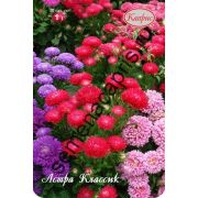 Астра смесь Классик (Каприс) 1гр.