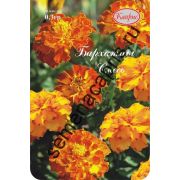 Бархатцы низкорослая смесь (Германия) 0,3гр.