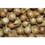 Лук Штуттгартер (Чувашия) 1кг.