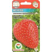 Земляника Женева 10шт (Сиб. сад)