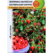Земляника Сентябрьский Сюрприз (НК)