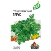 Сельдерей листовой Парус 0,1 г ХИТ х3