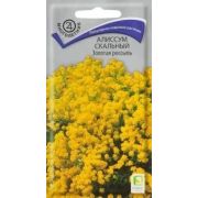 Алиссум Золотая Россыпь скальный 0,1г (ПОИСК)