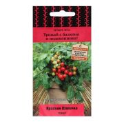 Томат Красная шапочка