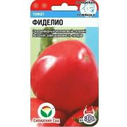 Томат Фиделио (Cиб сад)