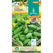 Балконный корнишон евро семена