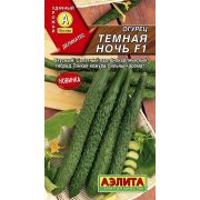 Огурец Темная ночь F1