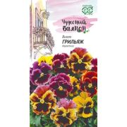 Виола Грильяж (Гавриш)