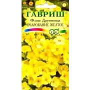 Флокс Очарование желтое друммонда (Гавриш)