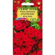 Флокс Очарование красное друммонда (Гавриш)