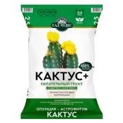 Сад Чудес Кактус 2,5л 1/10/700 (Норд Палп)